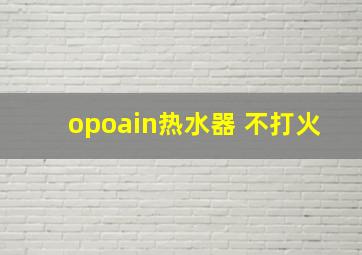 opoain热水器 不打火